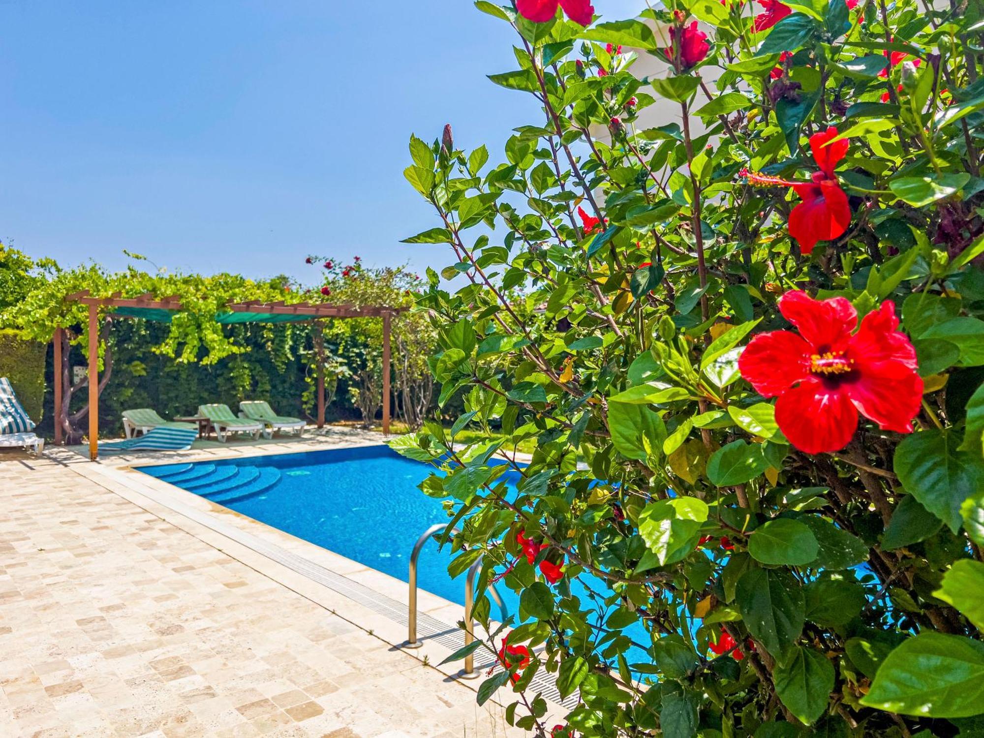 Paradise Town Villa Royal Belek Dış mekan fotoğraf